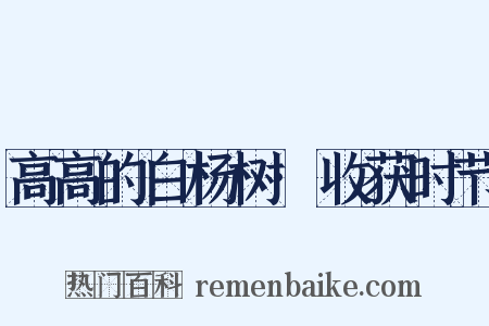 高高的白杨树·收获时节是什么意思的图片